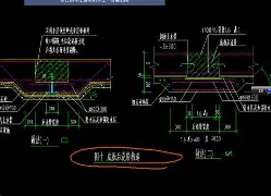 孙颖莎会首发搭档吗后续来了(孙颖莎比完赛回北京还是省队了)|